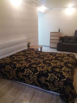 Stylish luxury apartment, Kharkiv - mieszkanie po dobowo