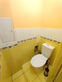 2 bin metrekare Shalimova, NAU, ISIDA, Kyiv - günlük kira için daire