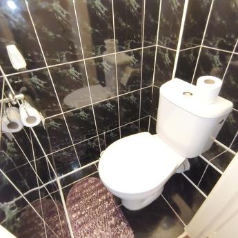 1 metrekare Şalimova, NAÜ, Kyiv - günlük kira için daire