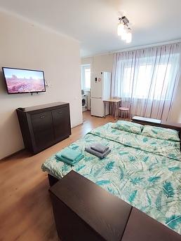 Novobudovo'da yakın zamanda yenilenmiş geniş, aydınlık daire