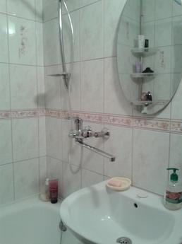 Short Term / her hourly after repair, Kyiv - apartment by the day