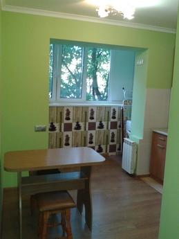 1 bedroom apartment for rent, Kyiv - günlük kira için daire