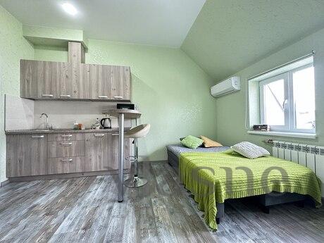 Inexpensive 1-room apartment in the center of Kharkov, Kharkiv - günlük kira için daire
