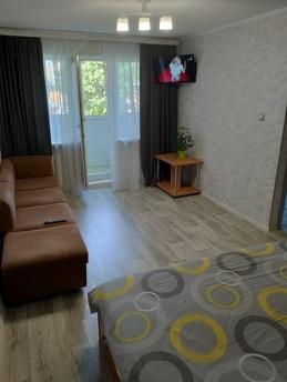 Чернігів Центр 1кімнатна кв. ПОСУТОВО, Чернігів - квартира подобово