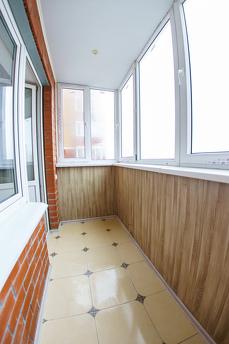 Professional disinfection, Tula - apartment by the day