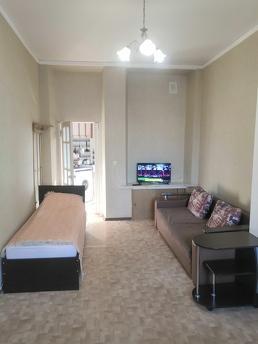 In the park area, near the Colonnade, a 1-room apartment is 