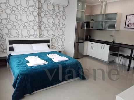 This stylish apartment includes a bedroom, combined with liv