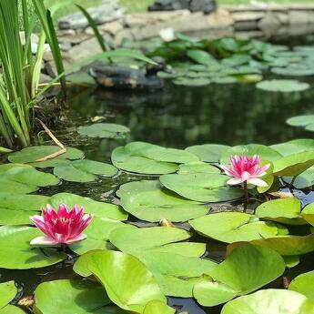 Заміський будинок Eco Comfort, Черкассы - квартира посуточно