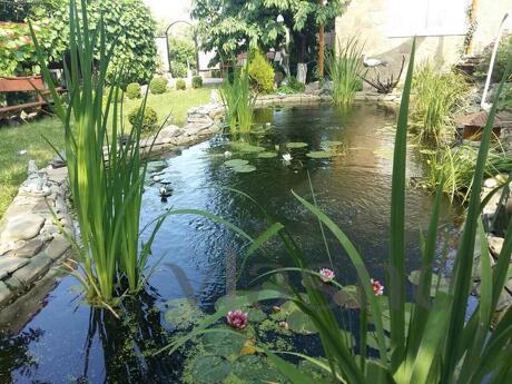 Заміський будинок Eco Comfort, Черкассы - квартира посуточно