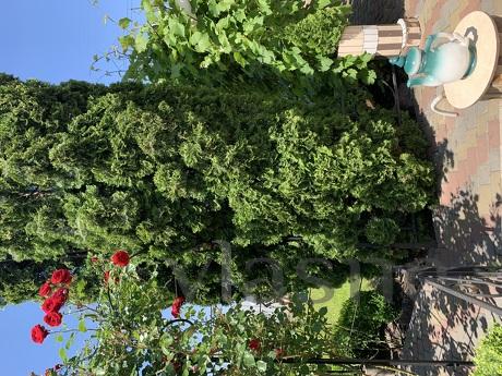 Заміський будинок Eco Comfort, Черкассы - квартира посуточно