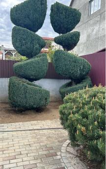 SoNa - modern apart-hotel, Berehovo - günlük kira için daire