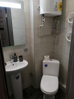 Whirlwind of addiction for one night at the best, Dnipro (Dnipropetrovsk) - günlük kira için daire