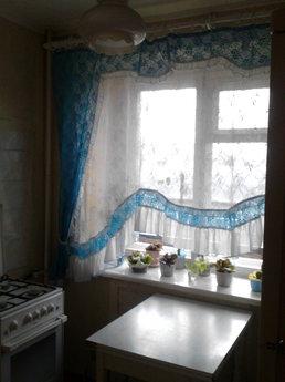 On Day / Two / Three / ..... (days)!, Arkhangelsk - apartment by the day