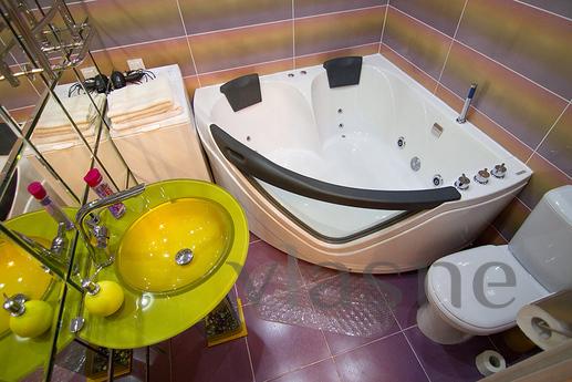 Luxury apartment with designer repair., Kyiv - mieszkanie po dobowo