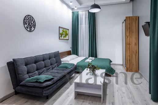 Quiet apartment in Striysky Park, Lviv - mieszkanie po dobowo