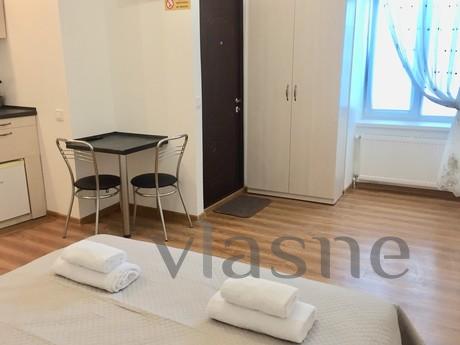 The apartment is spacious and cozy., Lviv - mieszkanie po dobowo