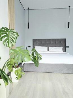 Podobovo, depending on the weather, Mykolayivska street, Vinnytsia - apartment by the day