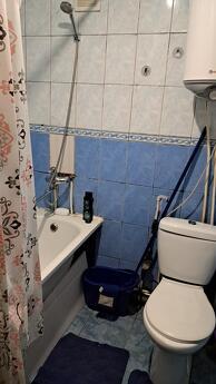 I'm looking for an apartment for rent in Dobovo, Kamenskoe (Dniprodzerzhynsk) - günlük kira için daire
