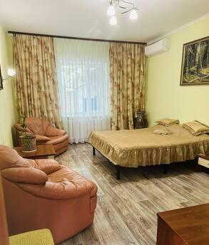 THERE IS A QUIET WOODIN SO MUCH, Chernomorsk (Illichivsk) - günlük kira için daire