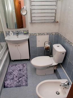 2 bedroom apartment on Independence, Kyiv - günlük kira için daire