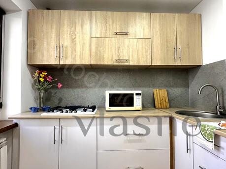 1ком Люкс-студия, ул.Патриотическая,56а, Запорожье - квартира посуточно