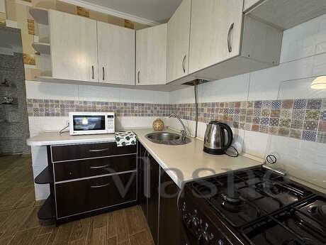 1-room apartment daily rent on Pushkin, Zaporizhzhia - günlük kira için daire