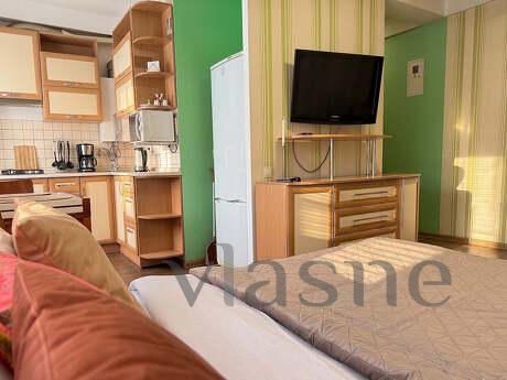 1 room Junior Suite on iny st. 65b, Zaporizhzhia - apartment by the day
