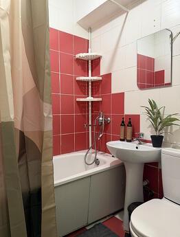 1 room Junior Suite on iny st. 65b, Zaporizhzhia - apartment by the day