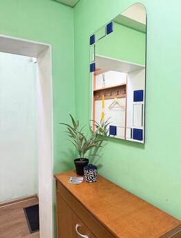 1 room Junior Suite on iny st. 65b, Zaporizhzhia - apartment by the day