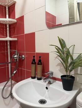 1 room Junior Suite on iny st. 65b, Zaporizhzhia - apartment by the day