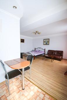 Rent 1k apartment near the center of Kiev, Kyiv - apartment by the day