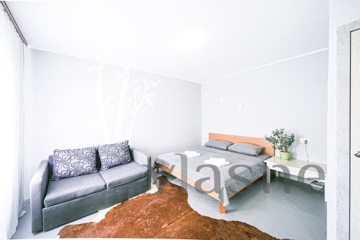 The apartments are located in the center of Kiev at the addr