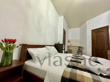 Rent 1k apartment near the center of Kiev, Kyiv - apartment by the day