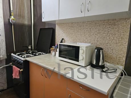 Оренда 1 кімнатна квартира  Вокзальна ме, Київ - квартира подобово