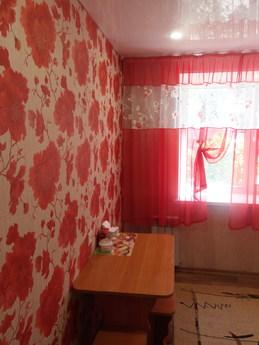 Excellent 2-room apartment in the center, Barnaul - günlük kira için daire