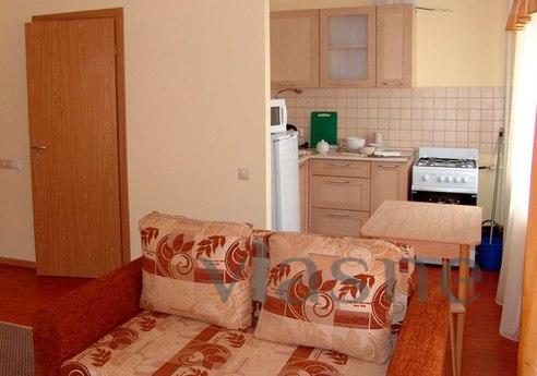 Cozy studio apartment for rent, Reutov - günlük kira için daire