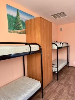 Здається хостел у центрі Києва метро Зверинецька( Друбжи нар