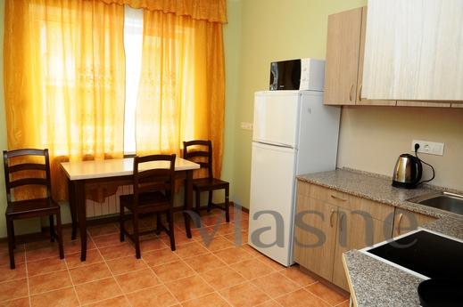 1 bedroom apartment for rent, Kyiv - günlük kira için daire