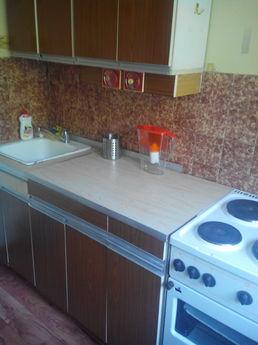 quiet apartment in the center, Novosibirsk - günlük kira için daire