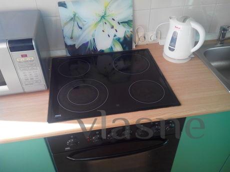 quiet apartment in the center, Novosibirsk - apartment by the day