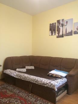 Cozy apartment - 5 minutes to the train, Lviv - apartment by the day