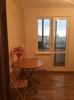 The apartment is on the Danube, Saint Petersburg - günlük kira için daire