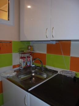 Cozy apartment near the subway, Novosibirsk - apartment by the day