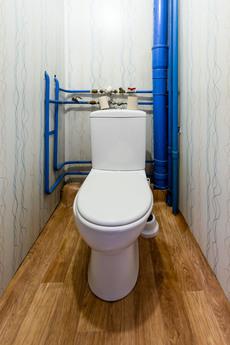 1 bedroom apartment for rent, Krasnoyarsk - günlük kira için daire